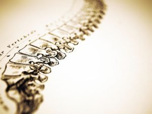 Atendimento de Quiropraxia Personalizado em Curitiba